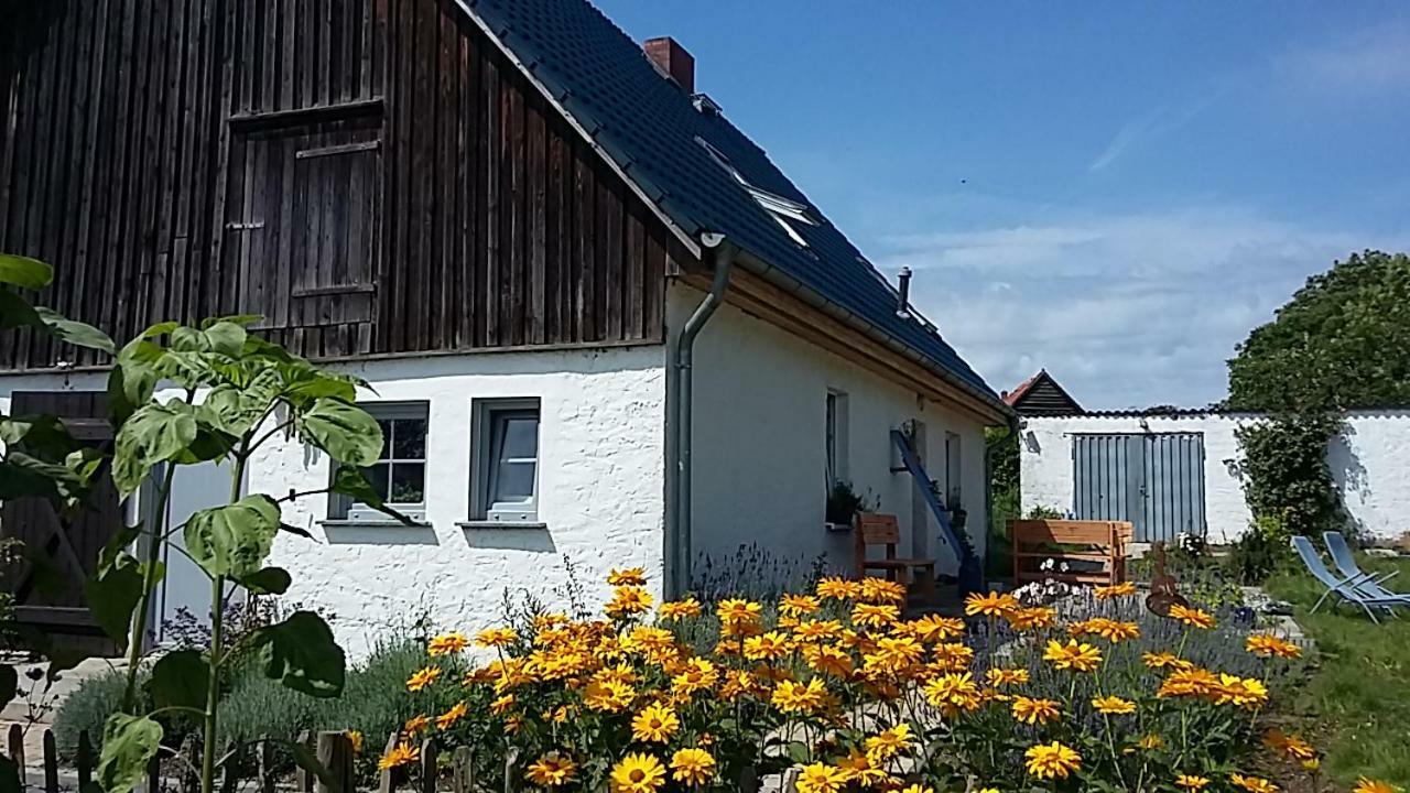 Hotel Zum Storchennest Kemnitz  Exterior foto